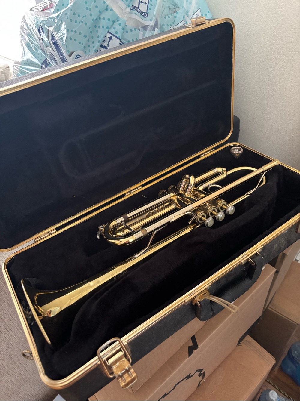 Gold Trumpet in Case - Brass Home Accent